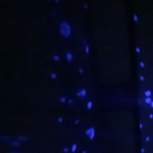 Meet your Posher, Madelyn